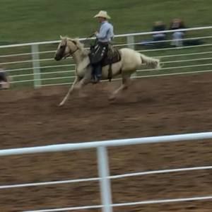 Meet your Posher, Kyle